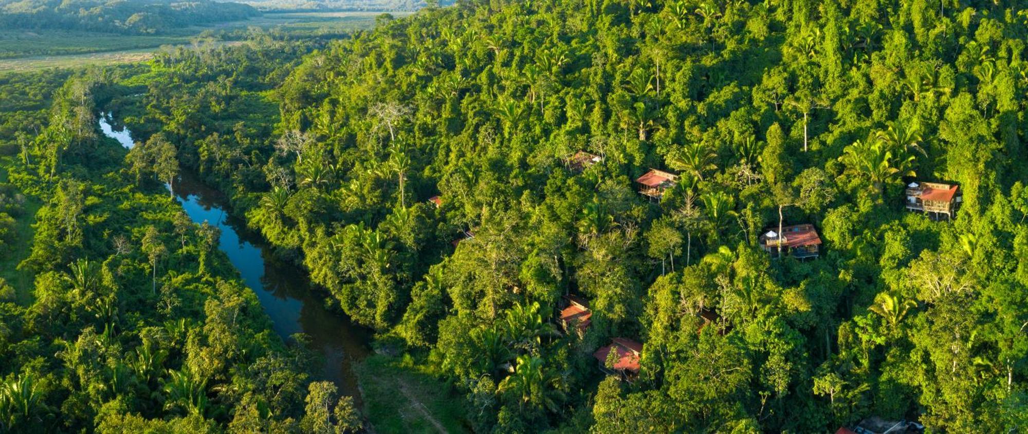 Ian Anderson Caves Branch Jungle Lodge Belmopan Eksteriør billede