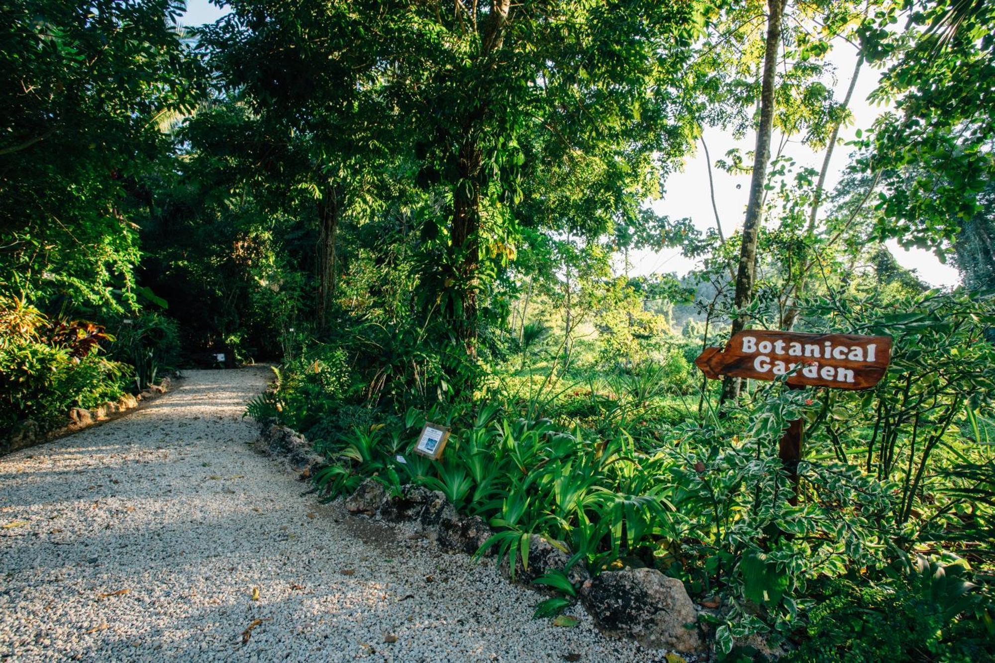 Ian Anderson Caves Branch Jungle Lodge Belmopan Eksteriør billede