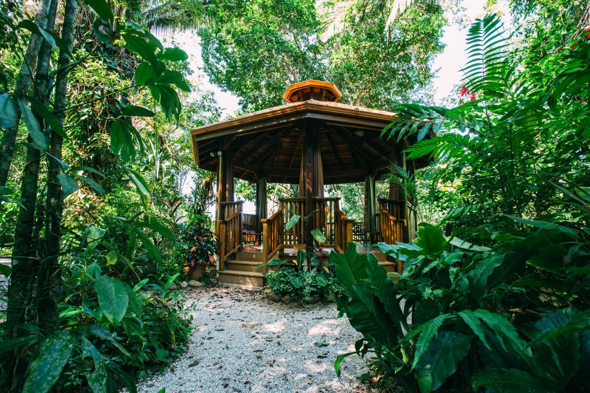 Ian Anderson Caves Branch Jungle Lodge Belmopan Eksteriør billede