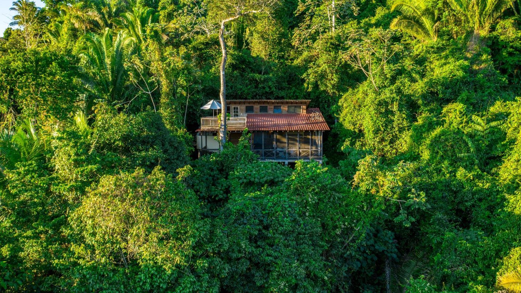 Ian Anderson Caves Branch Jungle Lodge Belmopan Eksteriør billede